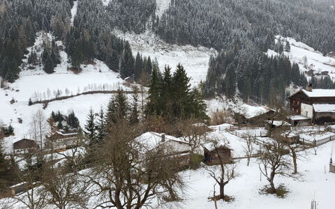 Stark: Neve, Montagna, Pianta, Paesaggio Naturale, Albero, Pendenza, Larice, Biome, Fenomeno Atmosferico, Sempreverde