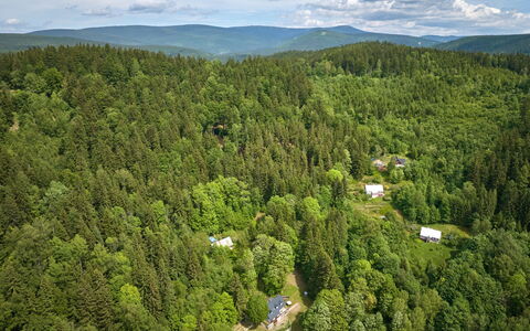 Sunny Slope & Sauna: Albero, Ambiente Naturale, Natura, Foglia, Vegetazione, Foresta, Paesaggio, Ecoregione, Comunita 'Impianto, Lotto
