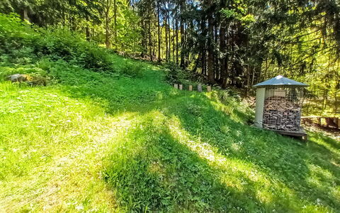 Sunny Slope & Sauna: Pianta, Albero, Paesaggio Naturale, Erba, Groundcover, Shade, Paesaggio, Arbusto, Pascolo, Impianto Terrestre