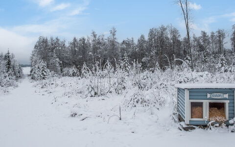 Kivilahti Vuokatti: Legna, Villetta, Casa, Log Cabin, Legname, Raccordo, Latifoglie, Materiali Naturali, Edifici Giardino, Capanna