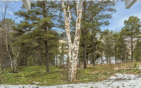 Torvokoski: Mobilia, Sedia, Mobili Da Esterno, Tavolo, Legna, Tavolo Esterno, Cucina & Sala Da Pranzo Tavolo, Shade, Giardino, Ombrello