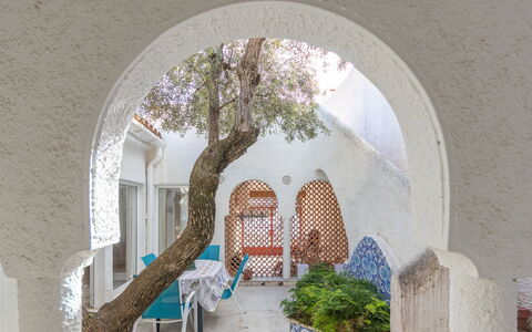 Los Abuelos: Pianta, Costruzione, Albero, Casa, Woody Impianto, Arte, Shade, Facciata, Paesaggio, Arco