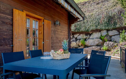 Anusach: Tavolo, Mobilia, Proprietà, Pianta, Vaso Di Fiori, Azzurro, Sedia, Interior Design, Mobili Da Esterno, Pianta Della Casa