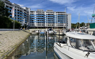 Sander