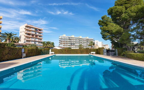 Miami Palace: Acqua, Pianta, Cielo, Costruzione, Piscina, Albero, Azzurro, Finestra, Immobiliare, Tempo Libero