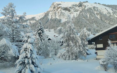 Lenk Unique