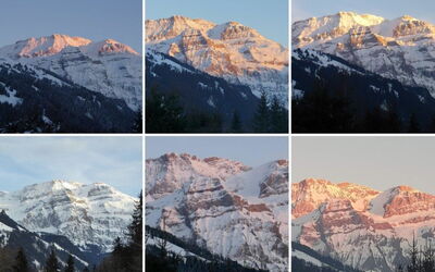 Lenk Unique