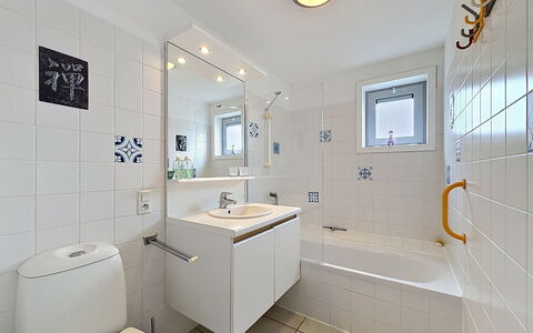 De Haan 990: Bagno, Idraulico Fixture, Interior Design, Pavimentazione, Lavello, Pavimento, Rubinetto, Idraulico, Lavandino Del Bagno, Soffitto