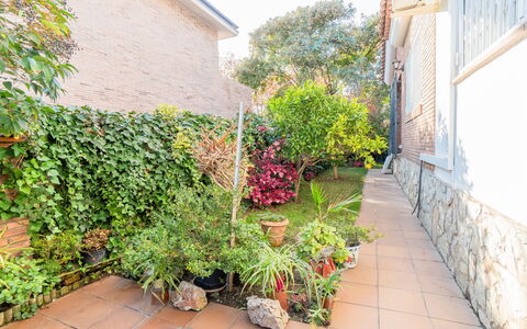 Aurea: Acqua, Cielo, Nube, Pianta, Azzurro, Albero, Spiaggia, Arecales
