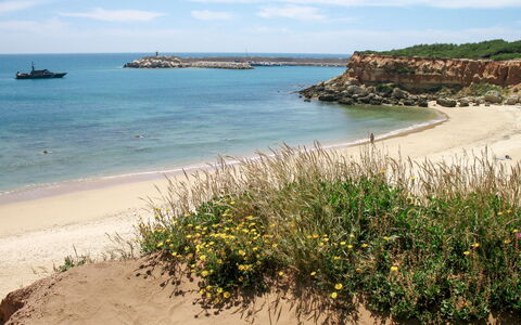 Cristina: Acqua, Cielo, Pianta, Nube, Ecoregione, Fiore, Azzurro, Spiaggia, Ambiente Naturale, Paesaggio Naturale