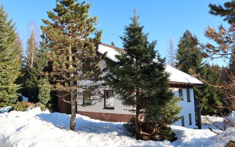 Harrachov 637: Proprietà, Cielo, Tavolo, Legna, Shade, Pavimento, Mobili Da Esterno, Sedia, Pavimentazione, Color Legno