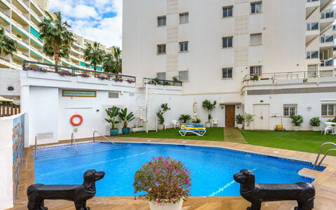 Palm Beach: Acqua, Pianta, Costruzione, Proprietà, Finestra, Piscina, Azzurro, Mobili Da Esterno, Fiore, Interior Design