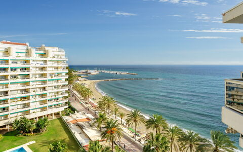 Palm Beach: Acqua, Cielo, Costruzione, Pianta, Giorno, Proprietà, Nube, Azzurro, Albero, Costiera E Morfologie Oceanic