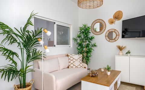 Palm Beach: Divano, Pianta, Mobilia, Proprietà, Illuminazione, Pianta Della Casa, Interior Design, Soggiorno, Giallo, Pavimento
