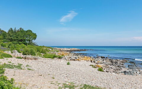 Gjuro - 50M from the Sea: Legna, Mobilia, Appartamento, Camera, Soffitto, Color Legno, Sedia, Latifoglie, Vernice, Legname