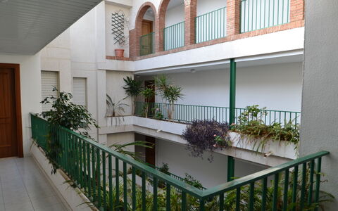 Sevilla: Pianta, Proprietà, Pianta Della Casa, Costruzione, Vaso Di Fiori, Illuminazione, Interior Design, Legna, Pavimentazione, Pavimento