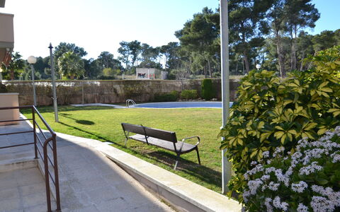 La Pineda 704: Pianta, Cielo, Panchina, Manto Stradale, Shade, Albero, Tempo Libero, Erba, Costruzione, Urban Design