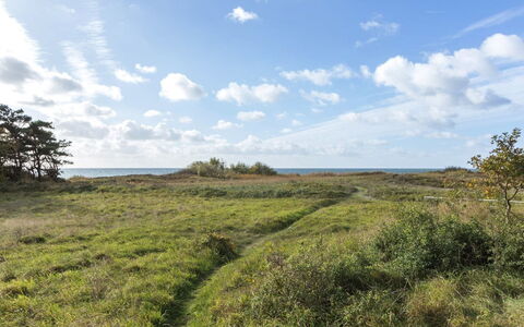 Kajsa - 50M from the Sea: Erba, Casa, Tetto, Casa, Villetta, Arbusto, Lotto, Area Rurale, Agriturismo, Groundcover