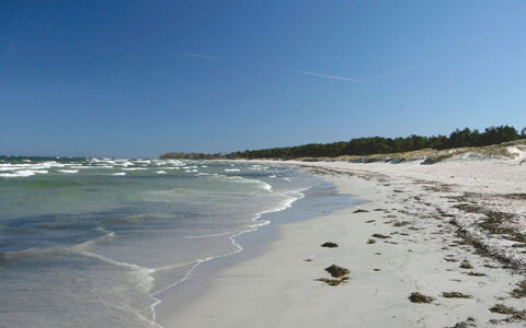Talvikki - 250M from the Sea: Blu, Spiaggia, Mare, Costa, Orizzonte, Costiera E Morfologie Oceanic, Oceano, Riva, Wind Wave