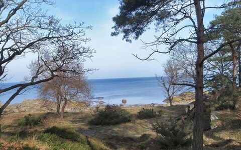 Lätizia - 300M from the Sea: Cielo, Blu, Ambiente Naturale, Vegetazione, Ramo, Paesaggio Naturale, Costa, Ecoregione, Costiera E Morfologie Oceanic, Comunita 'Impianto