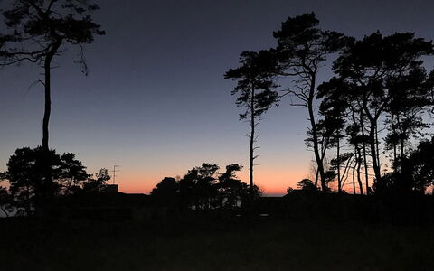 Gyrid - 150M from the Sea: Cielo, Ramo, Natura, Crepuscolo, Tramonto, Fenomeno Atmosferico, Afterglow, Orizzonte, Arancia, Sera