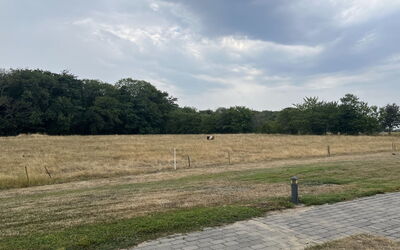 Manfred - 6Km from the Sea