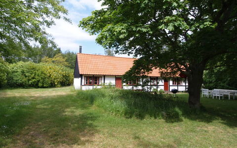 Viggo - 300M from the Sea: Legna, Casa, Villetta, Casa, Tetto, Area Rurale, Raccordo, Log Cabin, Edifici Giardino, Latifoglie