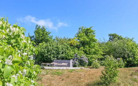 Benna - 120M from the Sea: Blu, Albero, Verde, Foglia, Natura, Vegetazione, Arbusto, Comunita 'Impianto, Lotto, Area Rurale