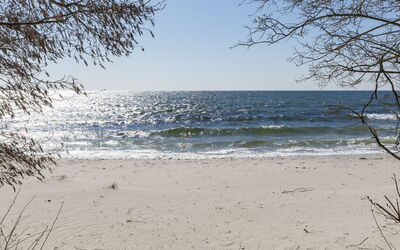 Gottfrieda - 300M from the Sea