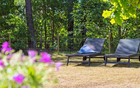 Malou - 350M from the Sea: Mobilia, Mobili Da Esterno, Comunita 'Impianto, Luce Del Sole, Groundcover, Shade, Foresta, Riserva Naturale, Giardino, Woodland