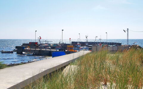 Hilje - 350M from the Sea: Erba, Arbusto, Casa, Giardino, Casa, Villetta, Lotto, Prato, Groundcover