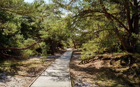 Elza - 800M from the Sea: Tetto, Casa, Lotto, Casa, Villetta, Estate, Edifici Giardino, Shade, Log Cabin, Landscaping