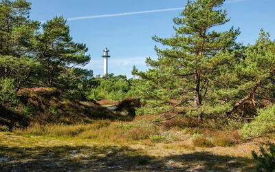 Elza - 800M from the Sea