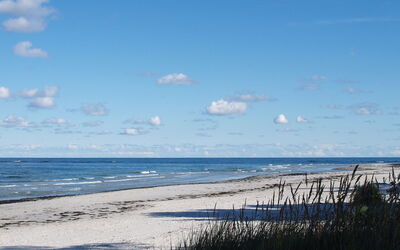 Adelbrand - 400M from the Sea