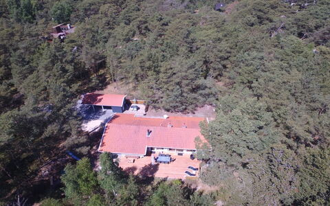 Dagi - 300M from the Sea: Legna, Casa, Villetta, Casa, Tetto, Area Rurale, Raccordo, Log Cabin, Edifici Giardino, Latifoglie