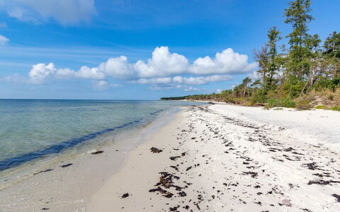 Hildegerd - 500M from the Sea: Tetto, Casa, Lotto, Casa, Villetta, Estate, Edifici Giardino, Shade, Log Cabin, Landscaping