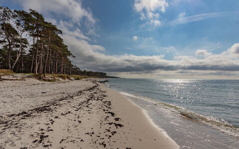 Hildegerd - 500M from the Sea: Tetto, Casa, Lotto, Casa, Villetta, Estate, Edifici Giardino, Shade, Log Cabin, Landscaping