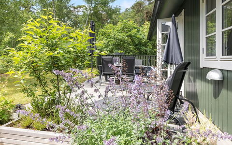 Tume - 200M from the Sea: Arbusto, Giardino, Comunita 'Impianto, Groundcover, Backyard, Cortile, Landscaping, Shade, Recinzione, Struttura Esterna