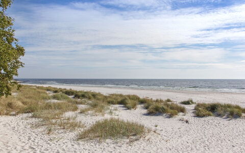 Loke - 300M from the Sea: Legna, Casa, Villetta, Casa, Tetto, Area Rurale, Raccordo, Log Cabin, Edifici Giardino, Latifoglie