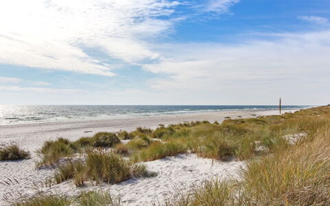 Loke - 300M from the Sea: Legna, Casa, Villetta, Casa, Tetto, Area Rurale, Raccordo, Log Cabin, Edifici Giardino, Latifoglie