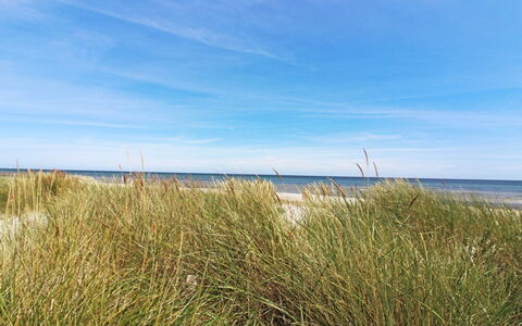 Gaja - 1Km from the Sea: Blu, Orizzonte, Ecoregione, Costa, Costiera E Morfologie Oceanic, Mare, Spiaggia, Riva, Oceano