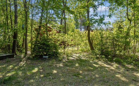 Blakke - 250M from the Sea: Foglia, Verde, Albero, Ambiente Naturale, Erba, Ramo, Vegetazione, Arbusto, Estate, Comunita 'Impianto