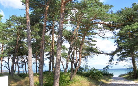 Muriel - 150M from the Sea: Legna, Casa, Villetta, Casa, Tetto, Area Rurale, Raccordo, Log Cabin, Edifici Giardino, Latifoglie