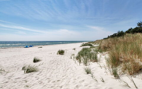 Michel - 300M from the Sea: Legna, Casa, Villetta, Casa, Tetto, Area Rurale, Raccordo, Log Cabin, Edifici Giardino, Latifoglie