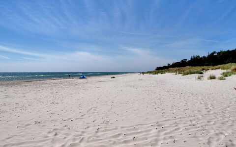 Hallgerd - 800M from the Sea: Legna, Casa, Villetta, Casa, Tetto, Area Rurale, Raccordo, Log Cabin, Edifici Giardino, Latifoglie
