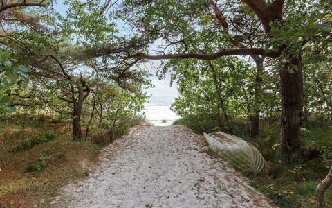 Fastulf - 300M from the Sea: Erba, Legna, Area Rurale, Arbusto, Villetta, Tetto, Plain, Lotto, Casa, Groundcover