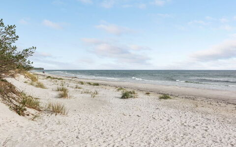 Fastulf - 300M from the Sea: Erba, Legna, Area Rurale, Arbusto, Villetta, Tetto, Plain, Lotto, Casa, Groundcover