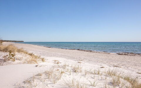 Unto - 25M from the Sea: Legna, Casa, Villetta, Casa, Tetto, Area Rurale, Raccordo, Log Cabin, Edifici Giardino, Latifoglie