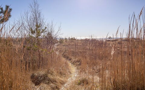Unto - 25M from the Sea: Legna, Casa, Villetta, Casa, Tetto, Area Rurale, Raccordo, Log Cabin, Edifici Giardino, Latifoglie