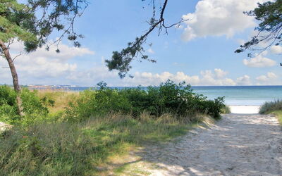Elize - 250M from the Sea